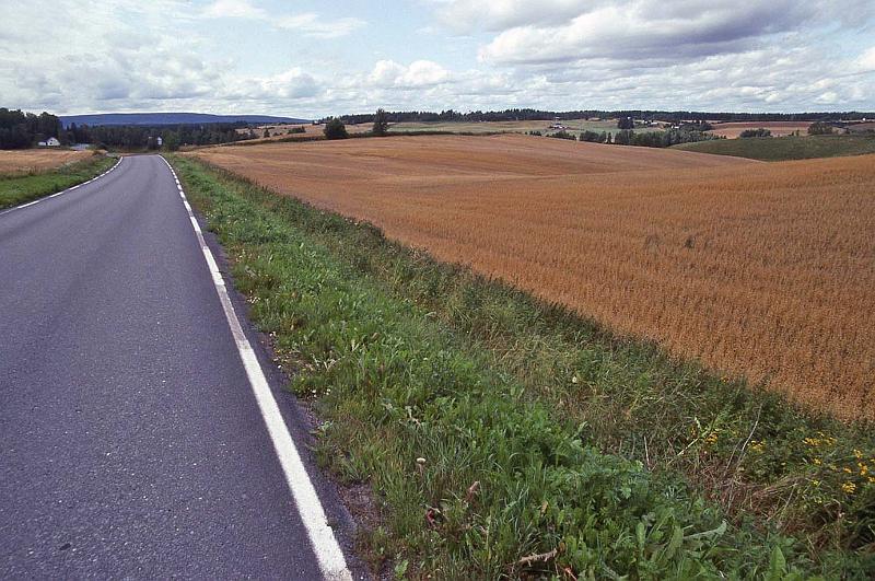 WT 3300 370-08 Norway.jpg